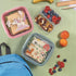 Snips Farm Kids Lunch Box – Fun, Airtight & BPA-Free!
