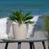 Stefanplast Liberty Round Pot – Stylish & Modern Plant Pot