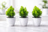 Vases with Green Leaf Decoration – Elegant Home Touch (Set of 3)