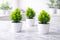 Vases with Green Leaf Decoration – Elegant Home Touch (Set of 3)