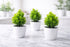Vases with Green Leaf Decoration – Elegant Home Touch (Set of 3)