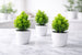 Vases with Green Leaf Decoration – Elegant Home Touch (Set of 3)