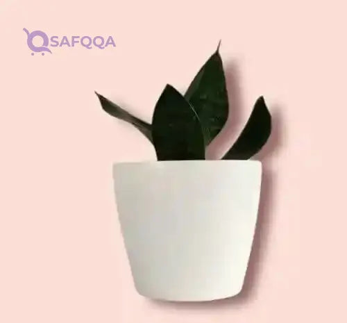 VINAYAKAMART Planter Pot for Indoor Plants (4 inch) Milk White - 3 Pieces (Without Box ) - Safqqa