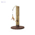 Aime Pet Supplies For Cat - Safqqa
