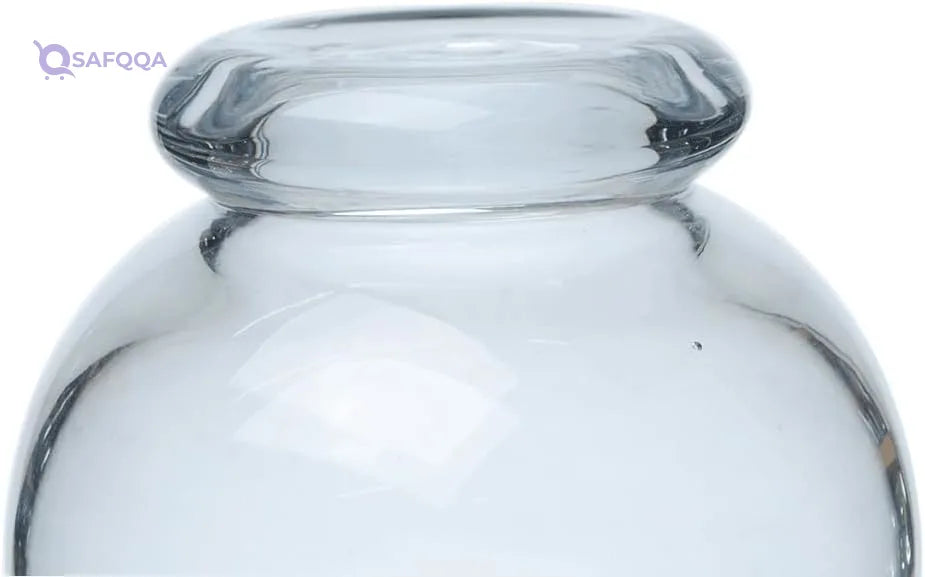 Servewell Harmony Clear Glass Flower Vase – Elegant Home Decor - Safqqa