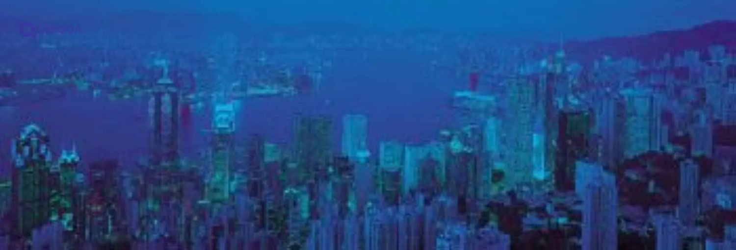 HONG KONG, BY NIGHT PUZZLE - Safqqa Egypt
