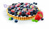 Tefal 27cm Tart Baking Pan – Easy Grip Mold - Safqqa