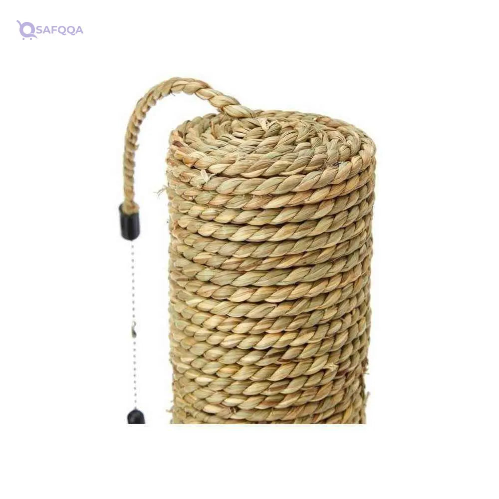 Aime Pet Supplies For Cat - Safqqa