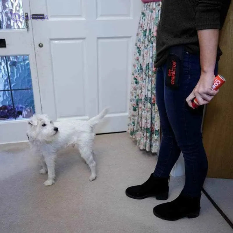 Pet Corrector- The Company of Animals Pet Corrector Holster, pack of 1 - Safqqa