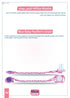 Nice Baby Pacifier Chain , Green ,Keeps pacifier clean and secure - Safqqa