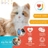 JOY FOR ALL - Orange Tabby Cat - Interactive Companion Pets - Realistic & Lifelike - Safqqa