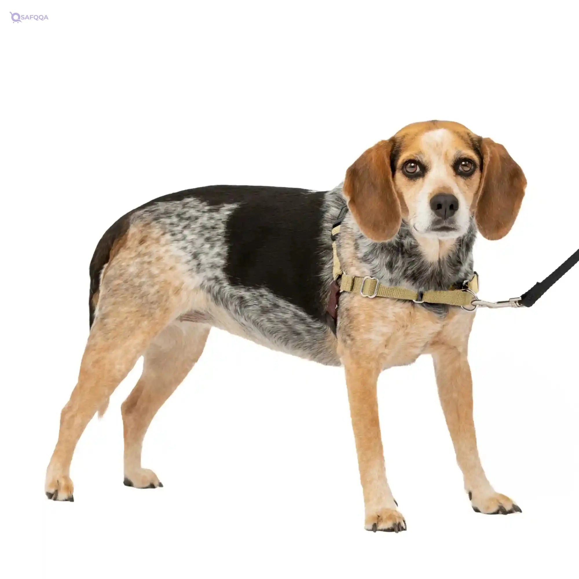 Petsafe Easy Walk Dog Harness - No Pull Small/Medium, Fawn - Safqqa Egypt