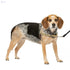 Petsafe Easy Walk Dog Harness – No-Pull - Safqqa