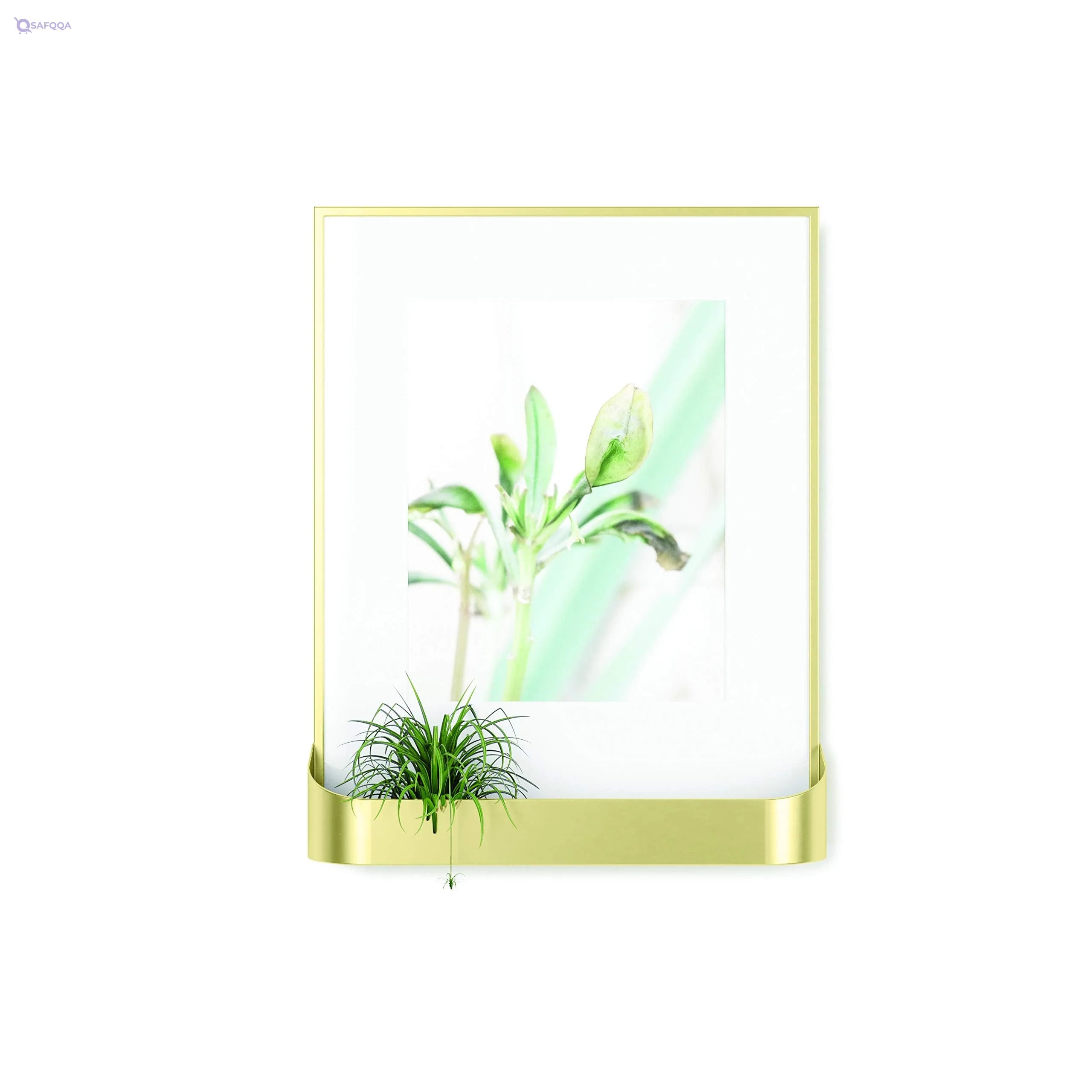 Umbra Wall Frames Made of Iron with Matte Brass Finish - Safqqa