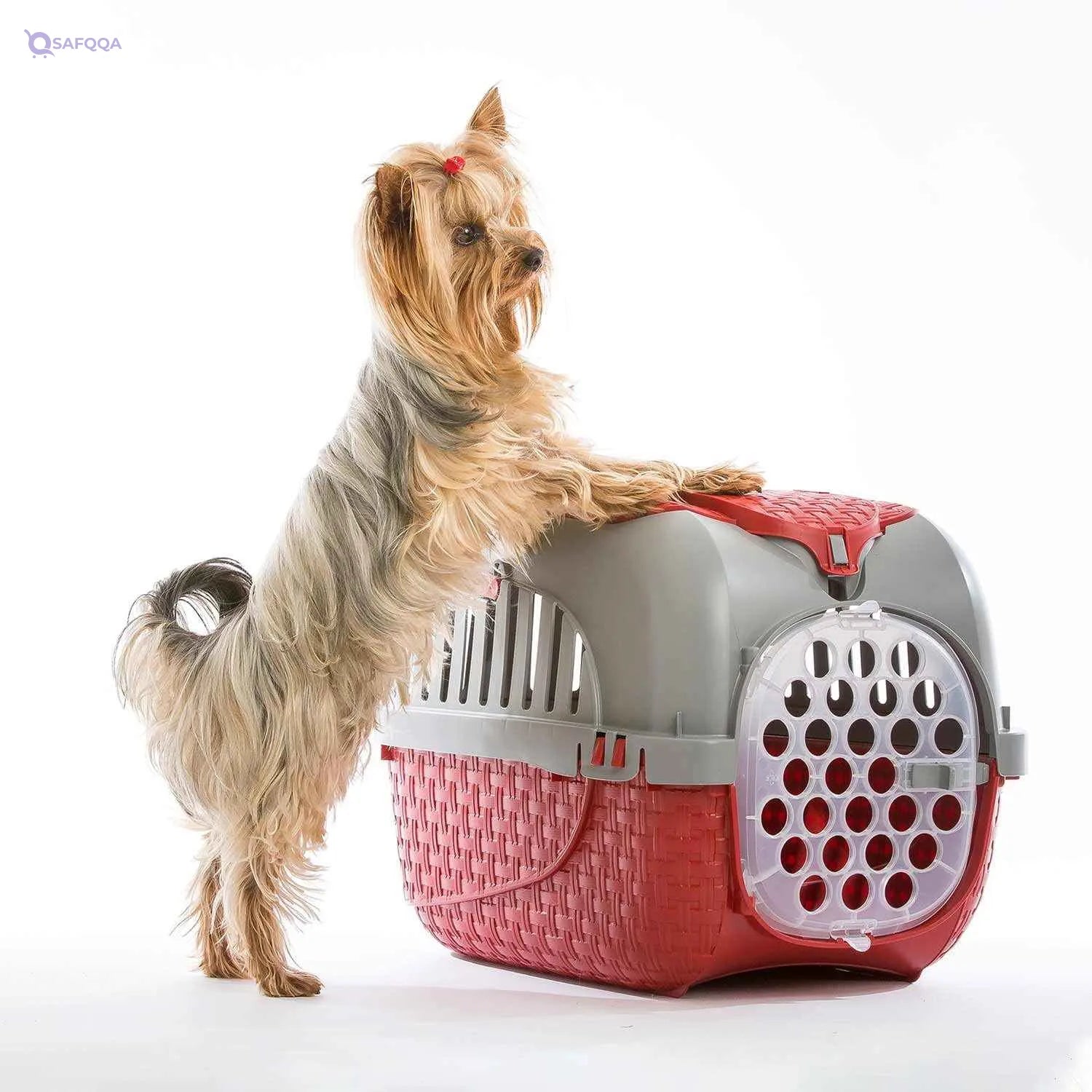 Bama Pet Transport Box Colour Taupé - Safqqa