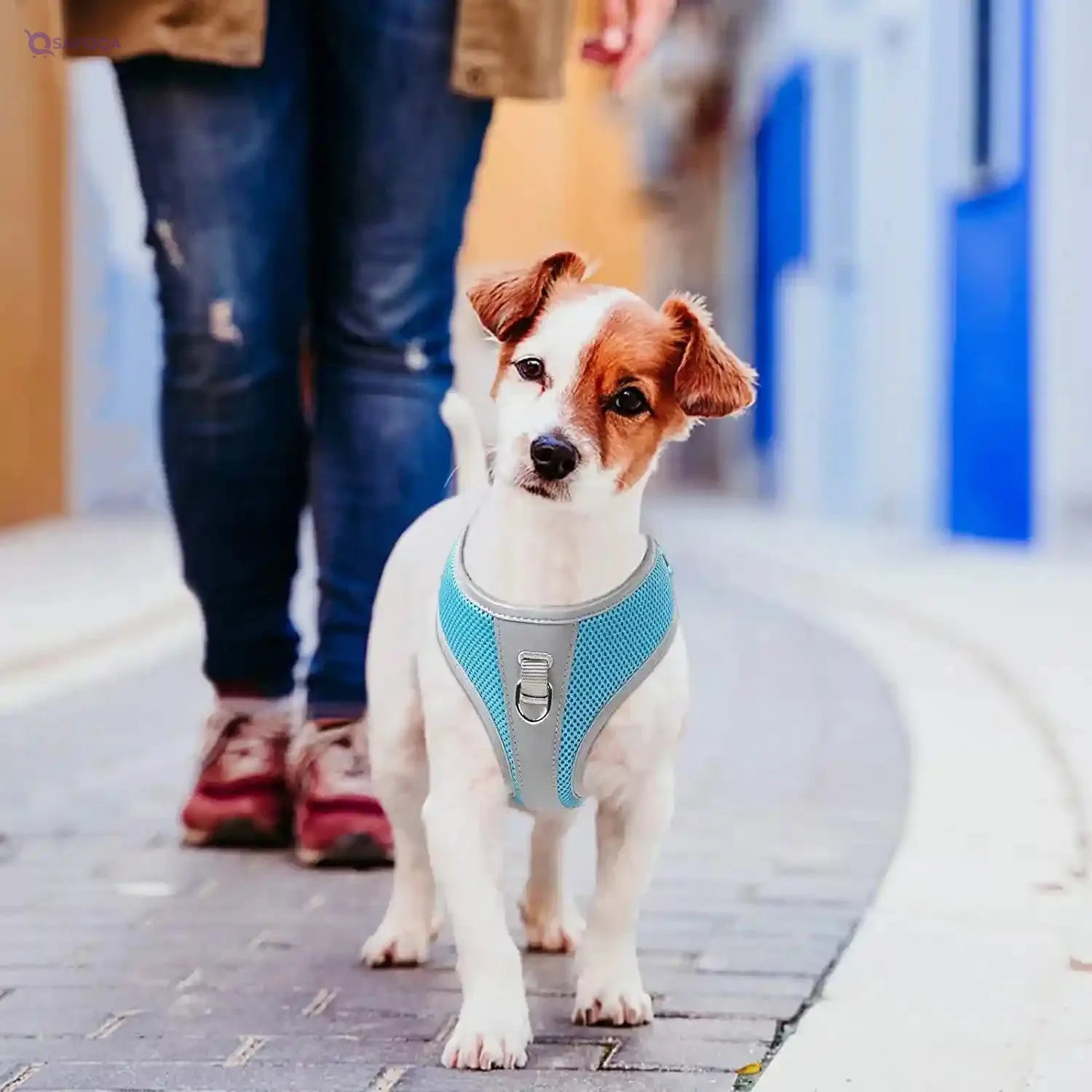 Fida Step-In Dog Harness – Padded, Reflective & Adjustable Chest Harness for Small Dogs - Safqqa