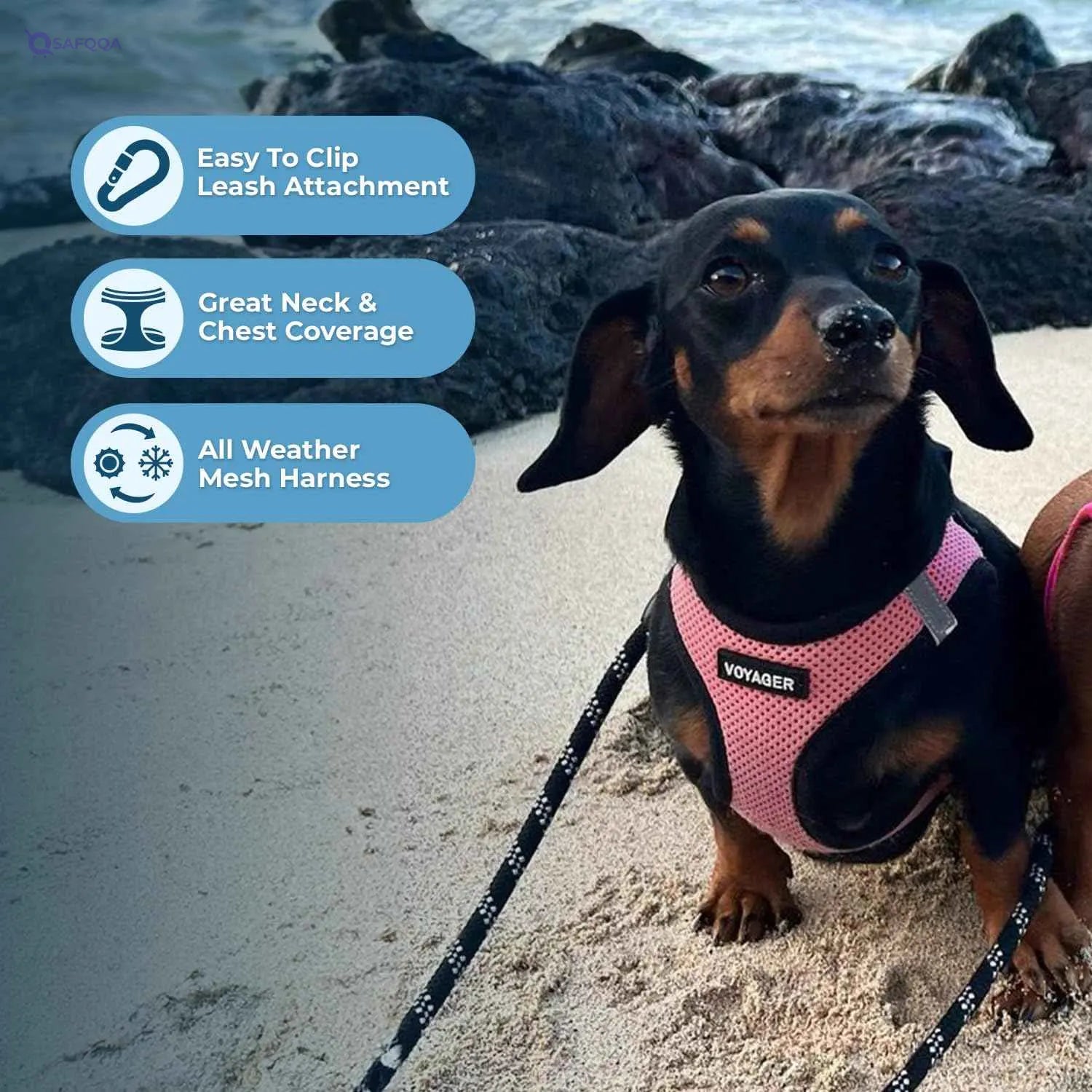 Voyager Step-in Air Dog Harness – All-Weather Mesh Vest for Small & Medium Dogs - Safqqa