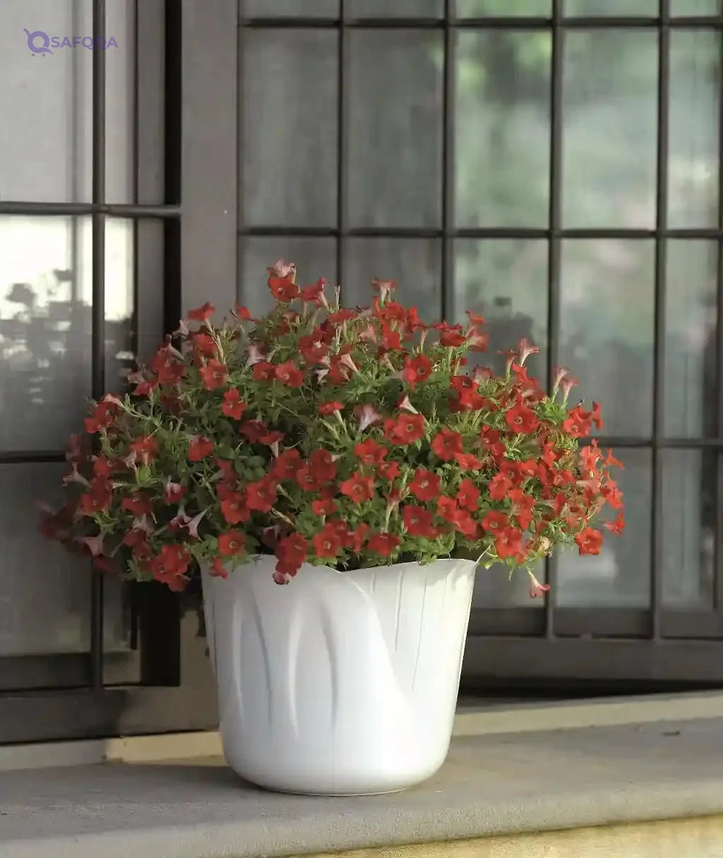 Bama MIMOSA pot holder Ø 35 30804 WHITE - Safqqa Egypt