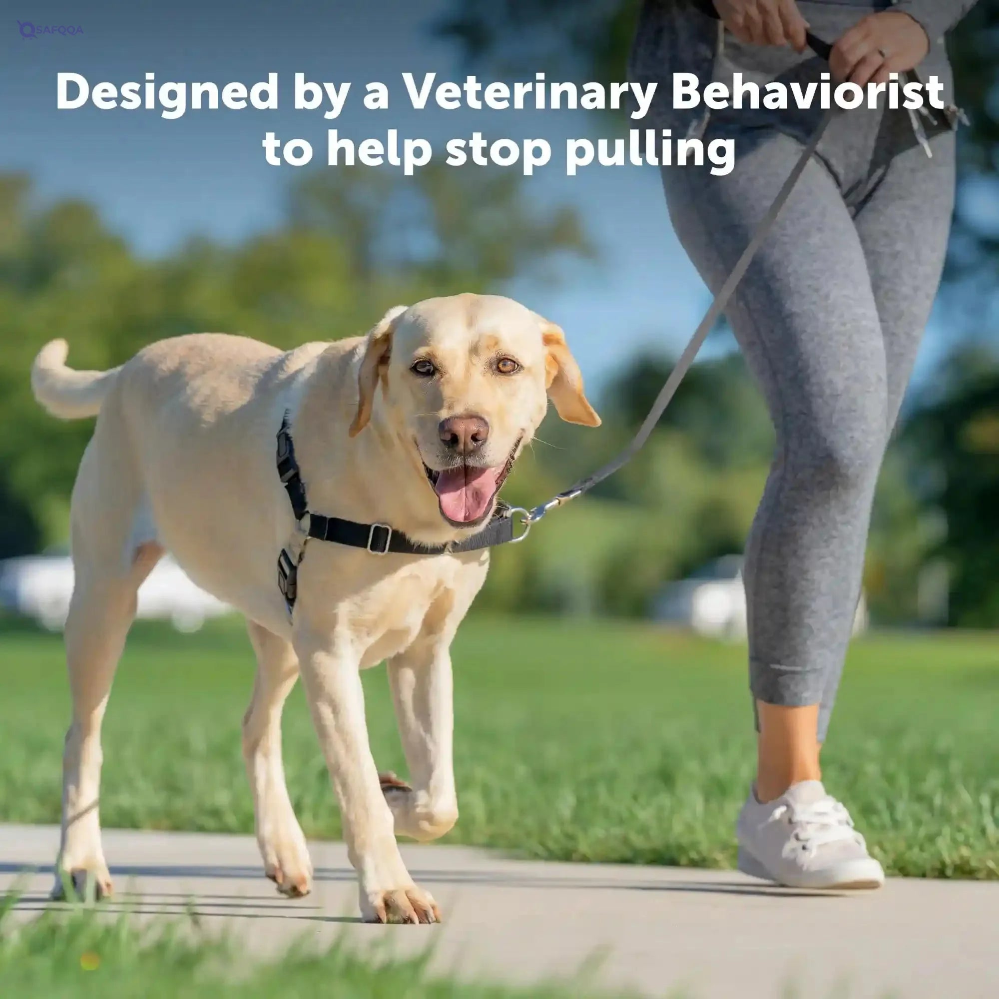 Petsafe Easy Walk Dog Harness - No Pull Small/Medium, Fawn - Safqqa Egypt