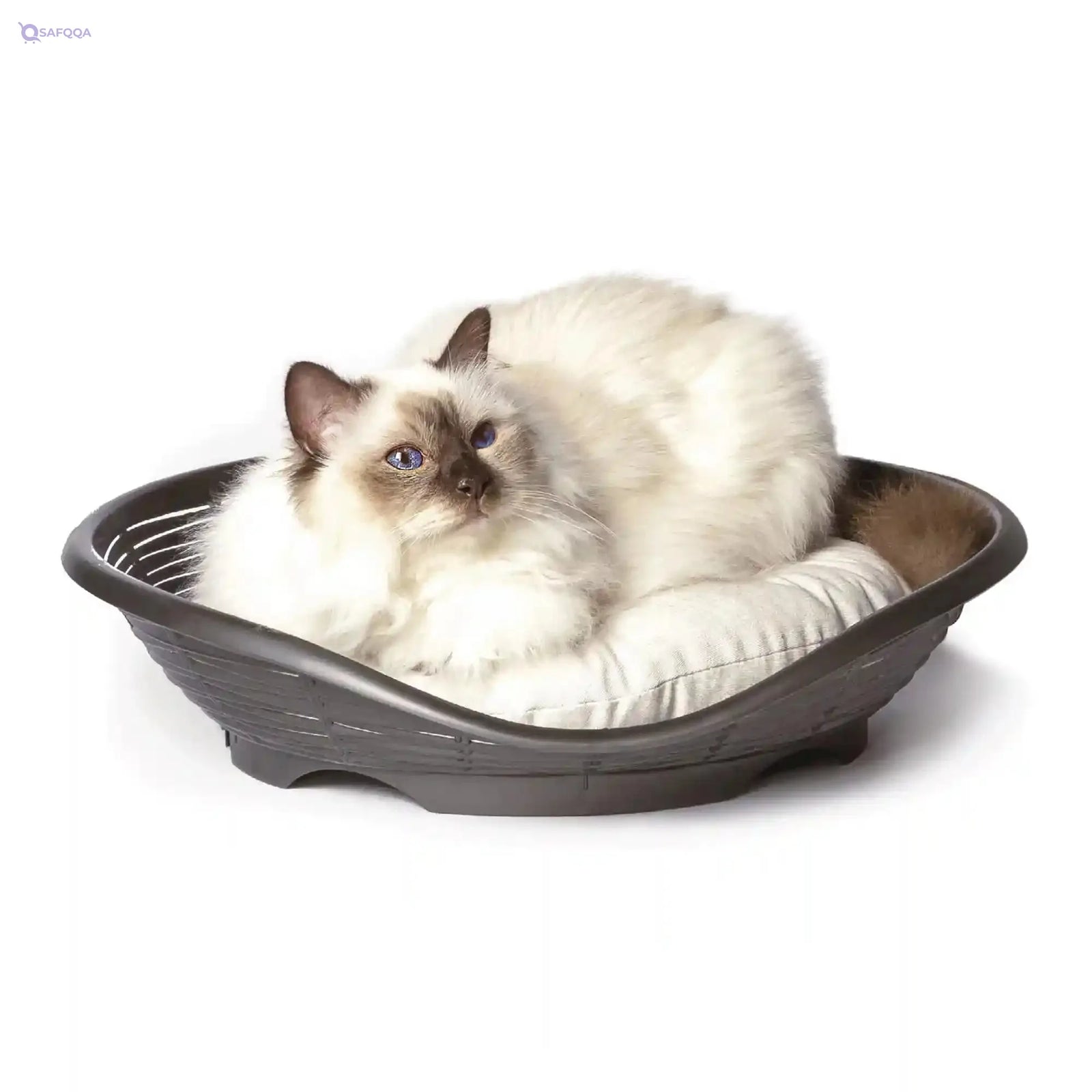 Bama Bed Pasha With Cushionn 19205, Made In Italy - Safqqa Egypt