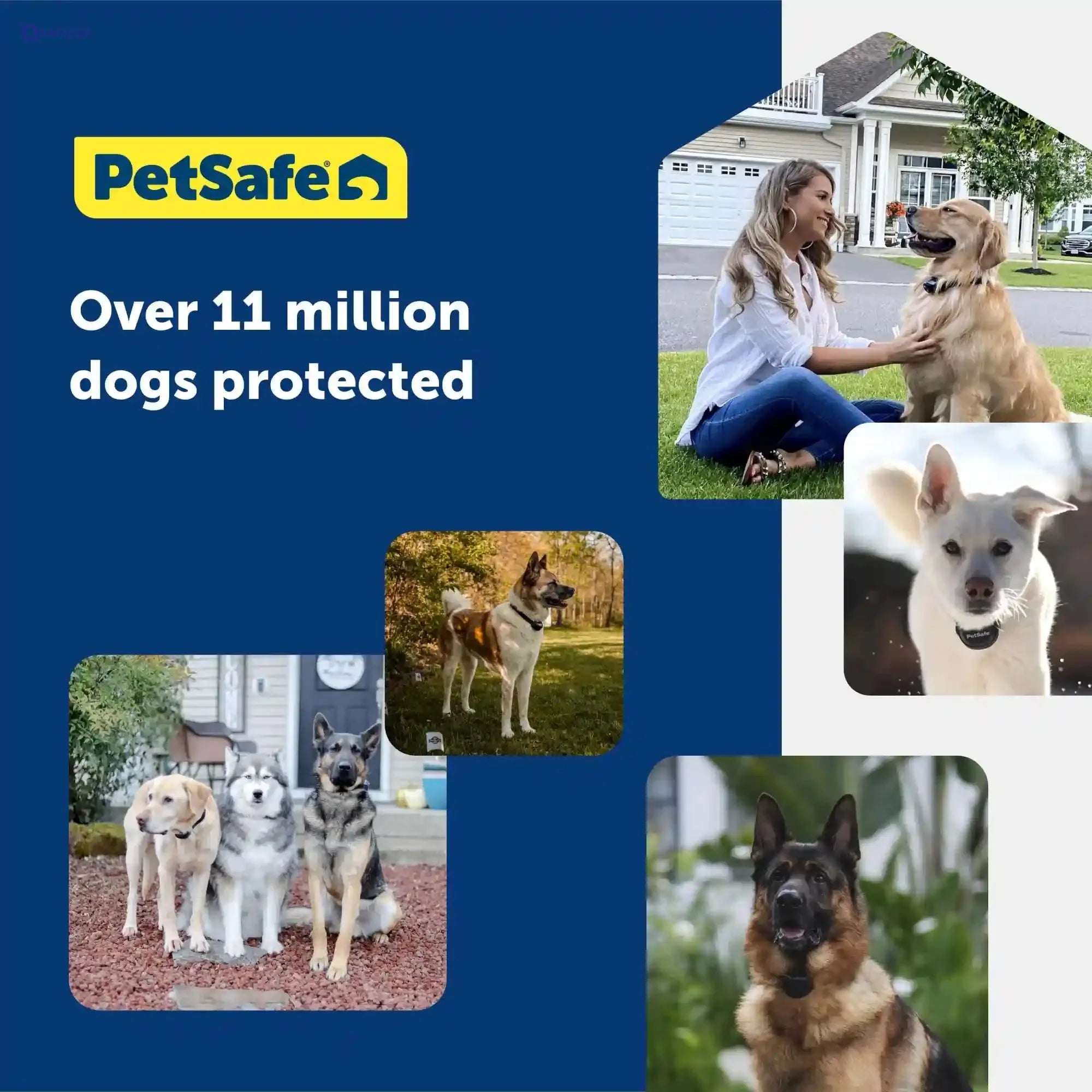 PetSafe Stubborn Dog Receiver Collar – In-Ground Fence, Waterproof, Tone, Vibration & Static, 8 lb+ - Safqqa