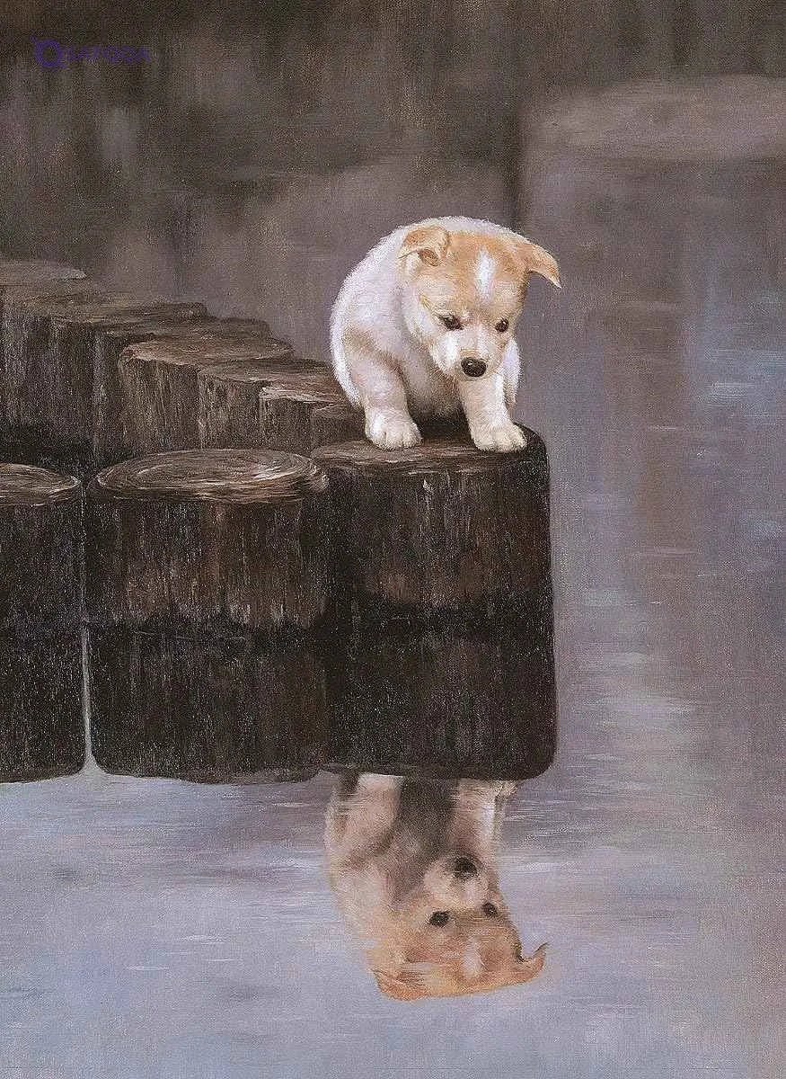 Tomax "How Do I Do?" 500 Piece Puppy Jigsaw Puzzle - Safqqa Egypt