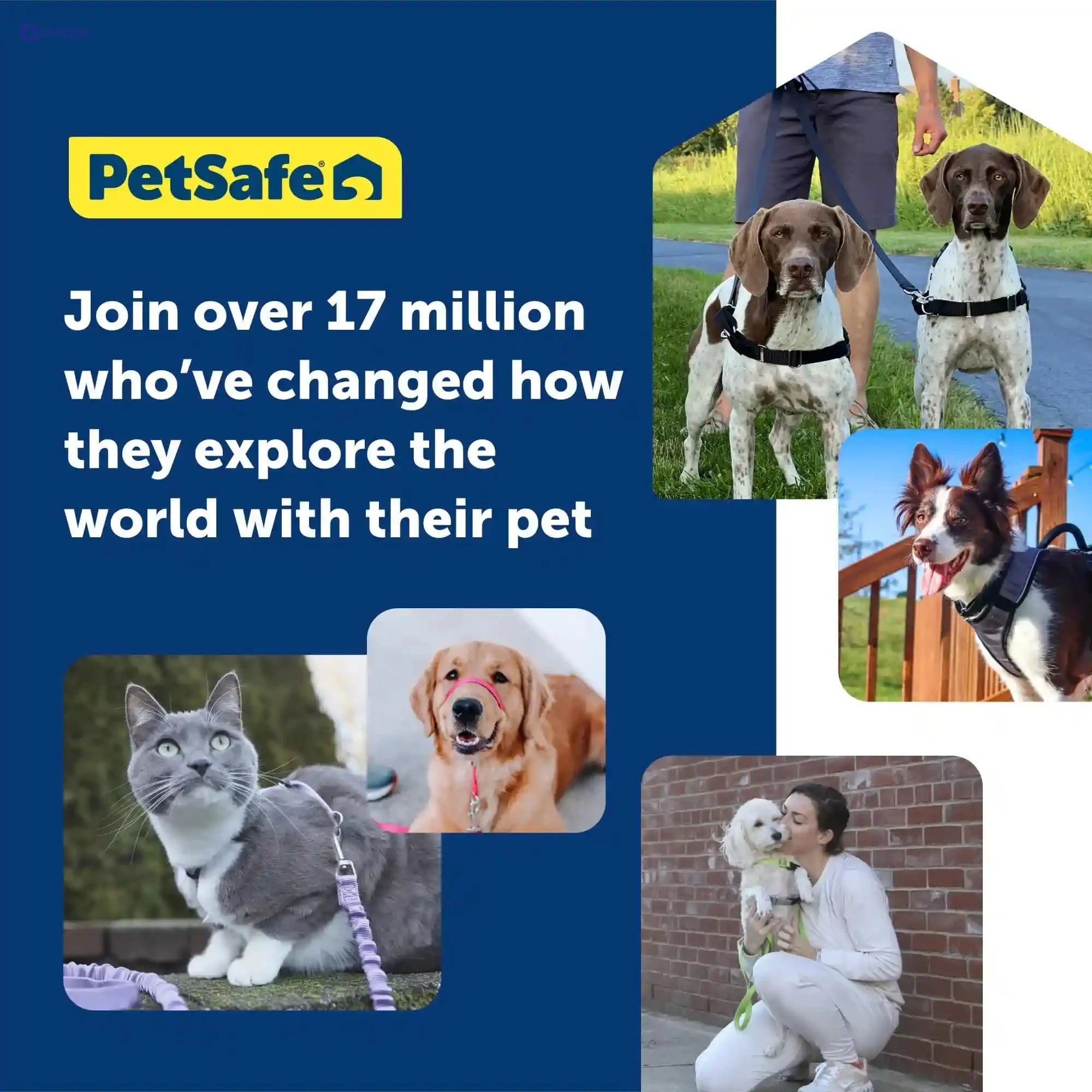 Petsafe Easy Walk Dog Harness - No Pull Small/Medium, Fawn - Safqqa Egypt