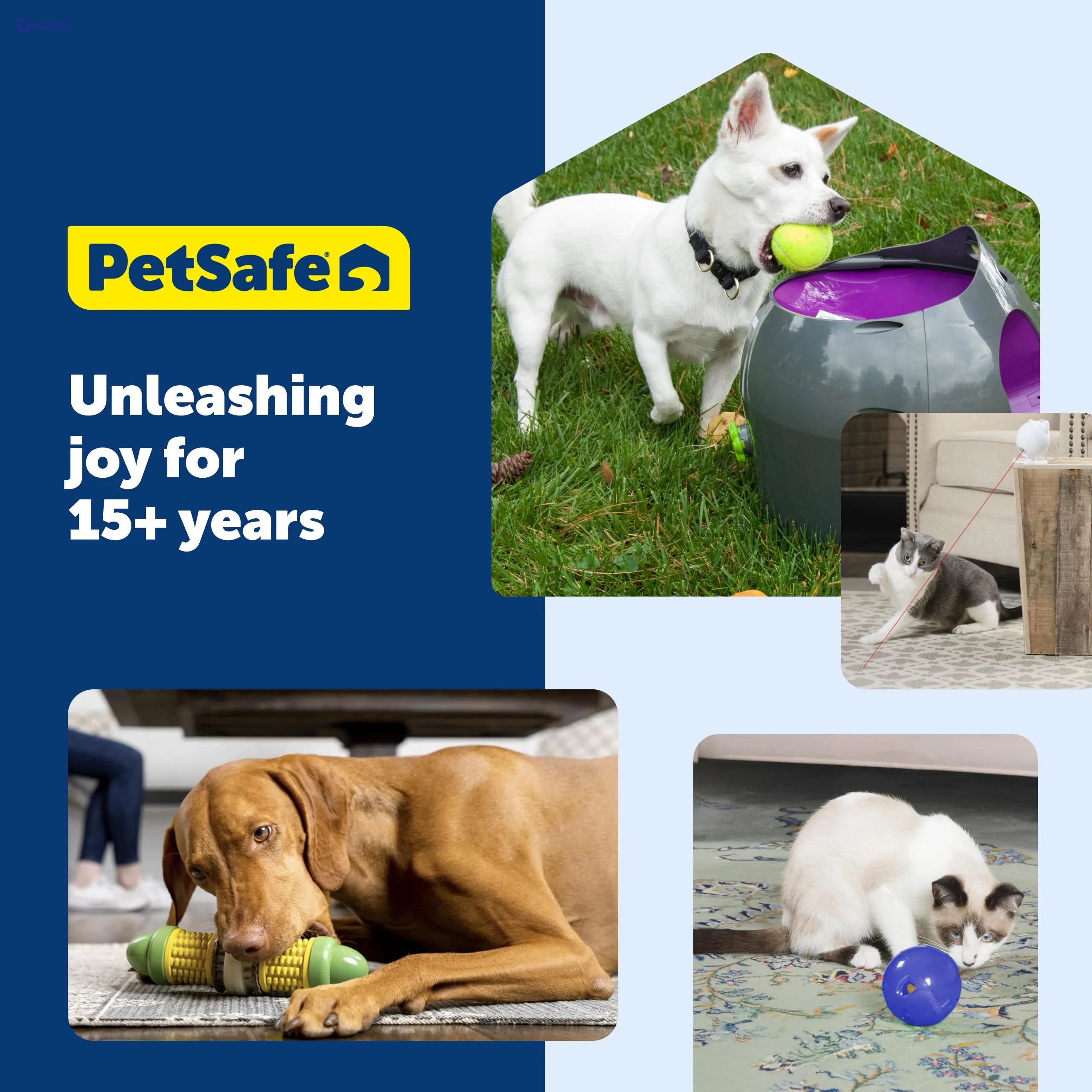 PetSafe Kibble Chase Interactive Dog Toy – Electronic Treat Dispenser & Slow Feeder - Safqqa