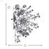 RoomMates RMK3865GM Black and White Peony Peel and Stick Giant Wall Decals - Safqqa