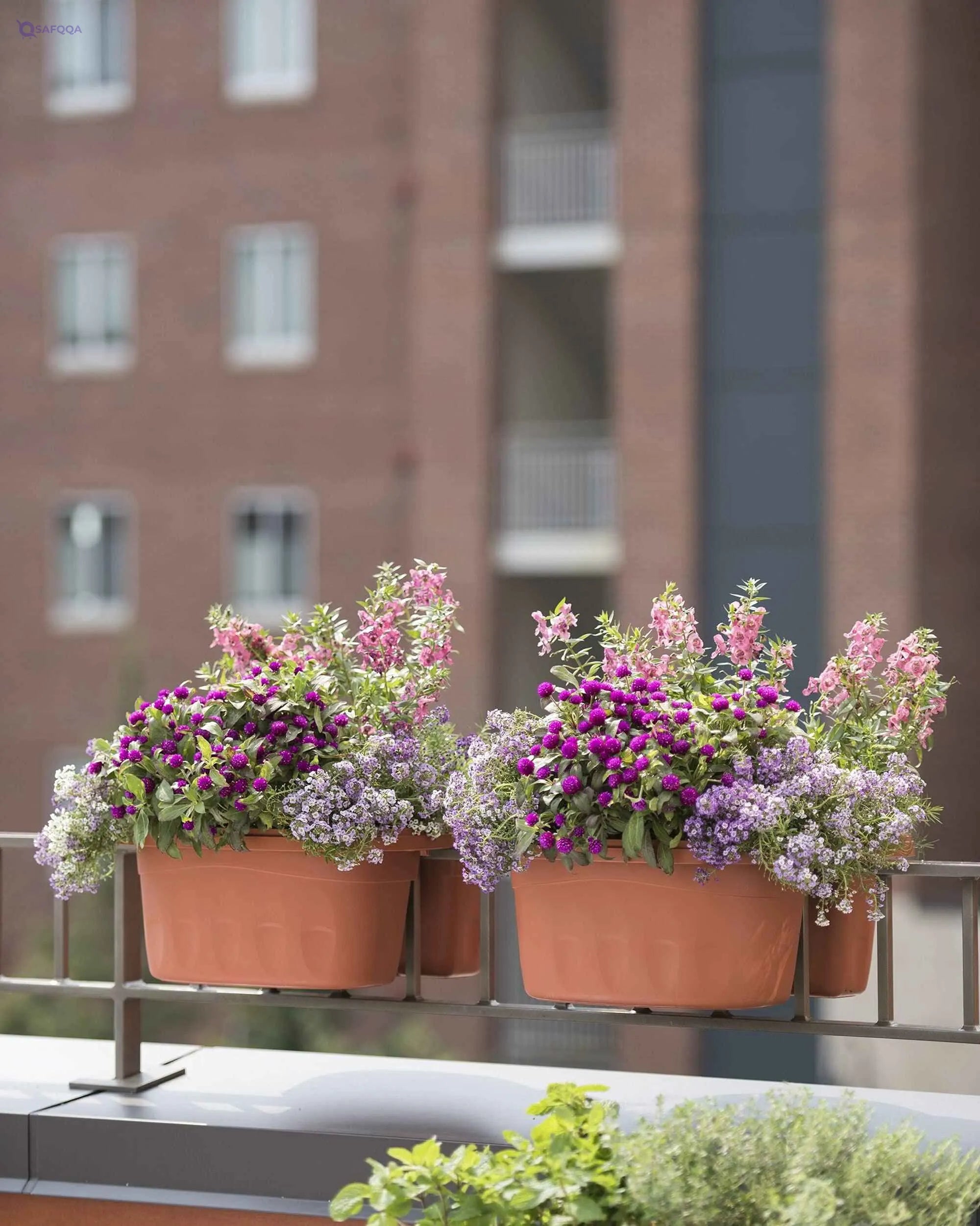 Bama fioriera doppia KLUNIA Cm.40 30231 - Safqqa Egypt