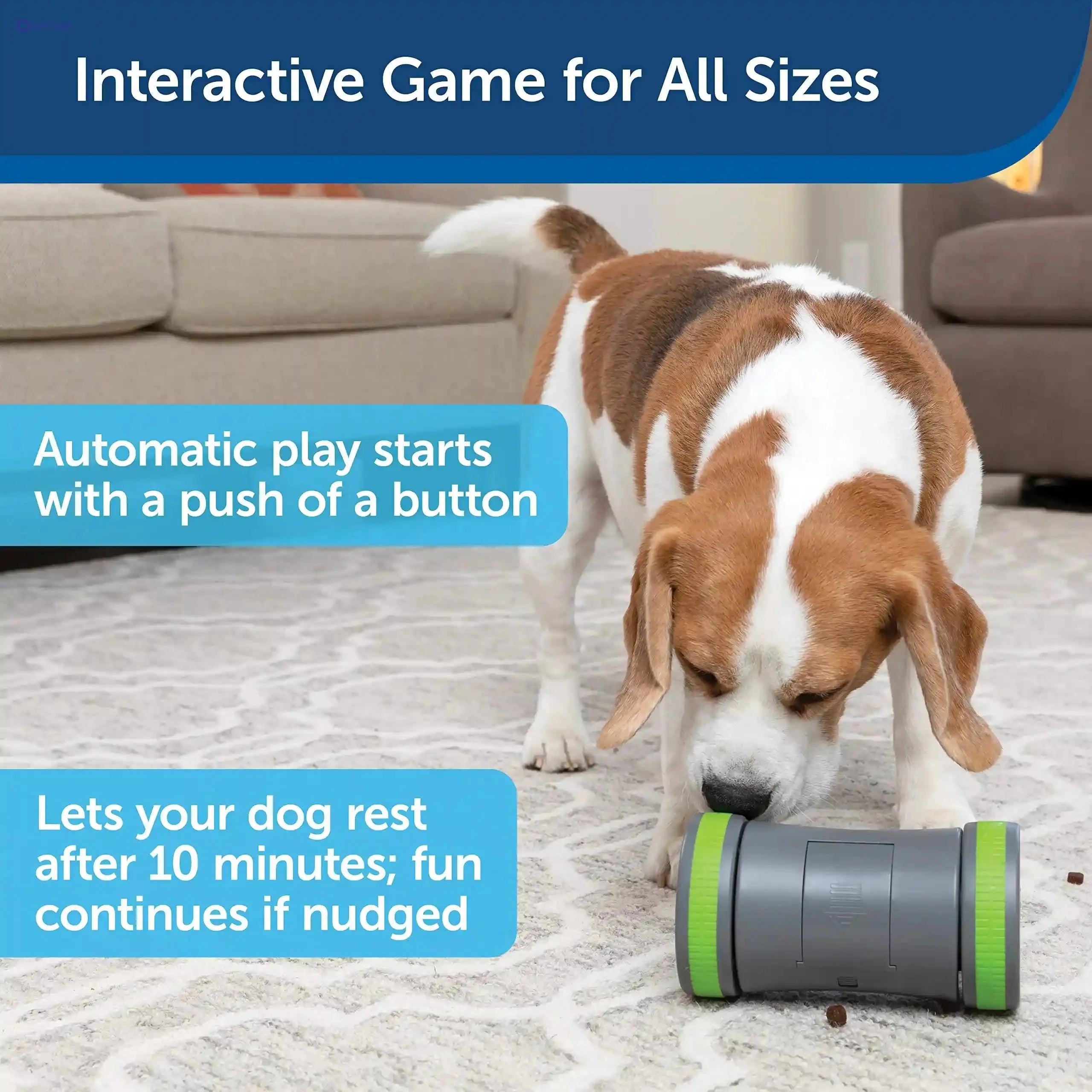 PetSafe Kibble Chase - Electronic & Interactive Dog Treat Dispensing Toy, Encourages Play Time, Adjustable Opening, 10 Minutes Play and Rest, Holds 1/2 Cup of Treats, Durable Plastic - Safqqa Egypt