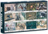Generic Plastic Aurora Jigsaw Puzzle Set Of 1000 Pieces For Kids - Multi Color - Safqqa Egypt