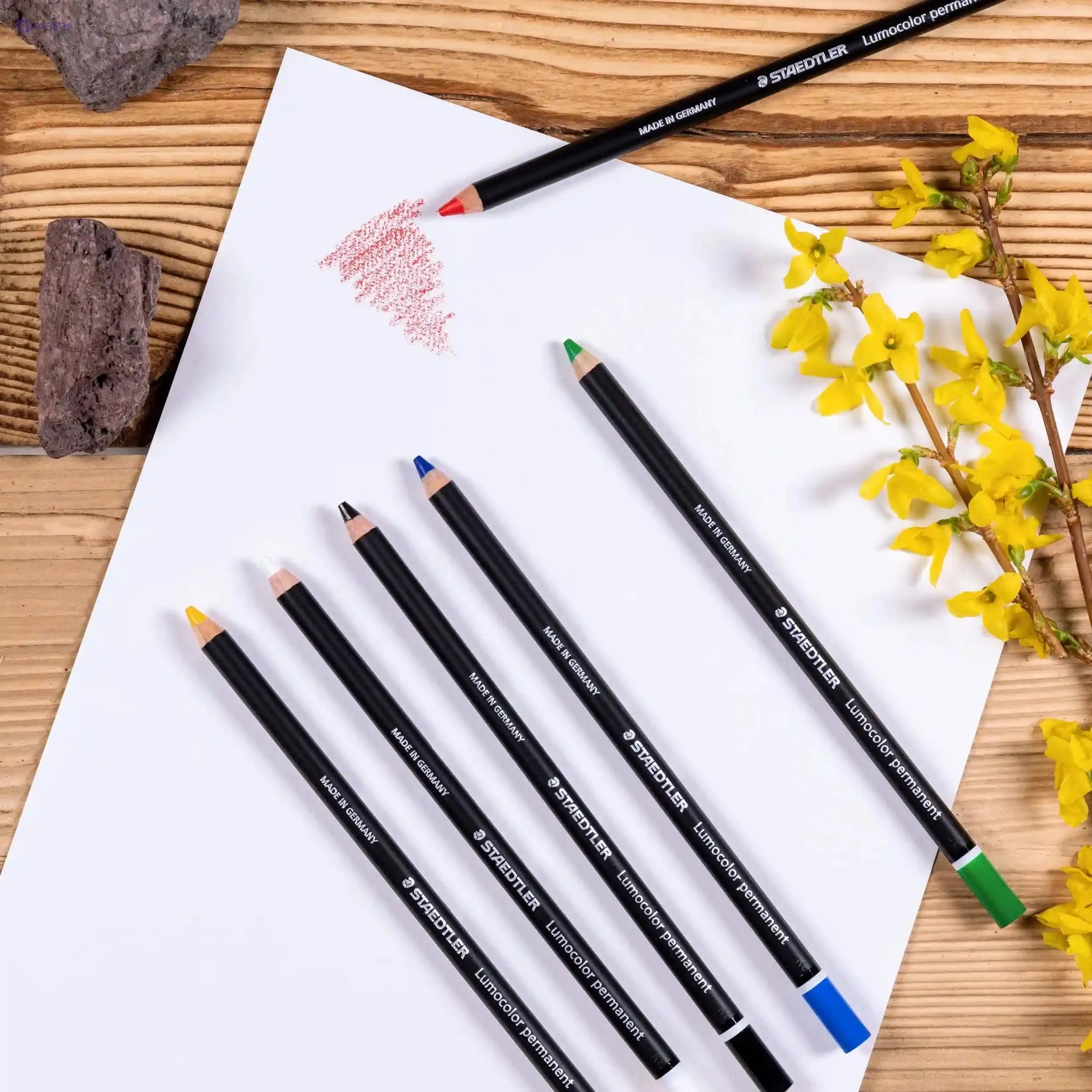 Staedtler Permanent Coloring Pencils - 6 Pieces - Safqqa Egypt